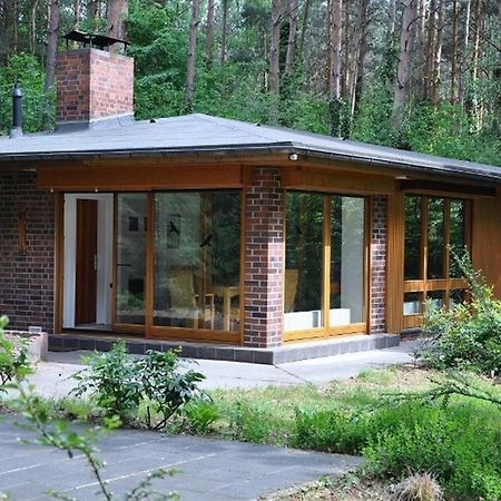 Ferienhaus Waldhaus Bad Liebenwerda Exterior foto