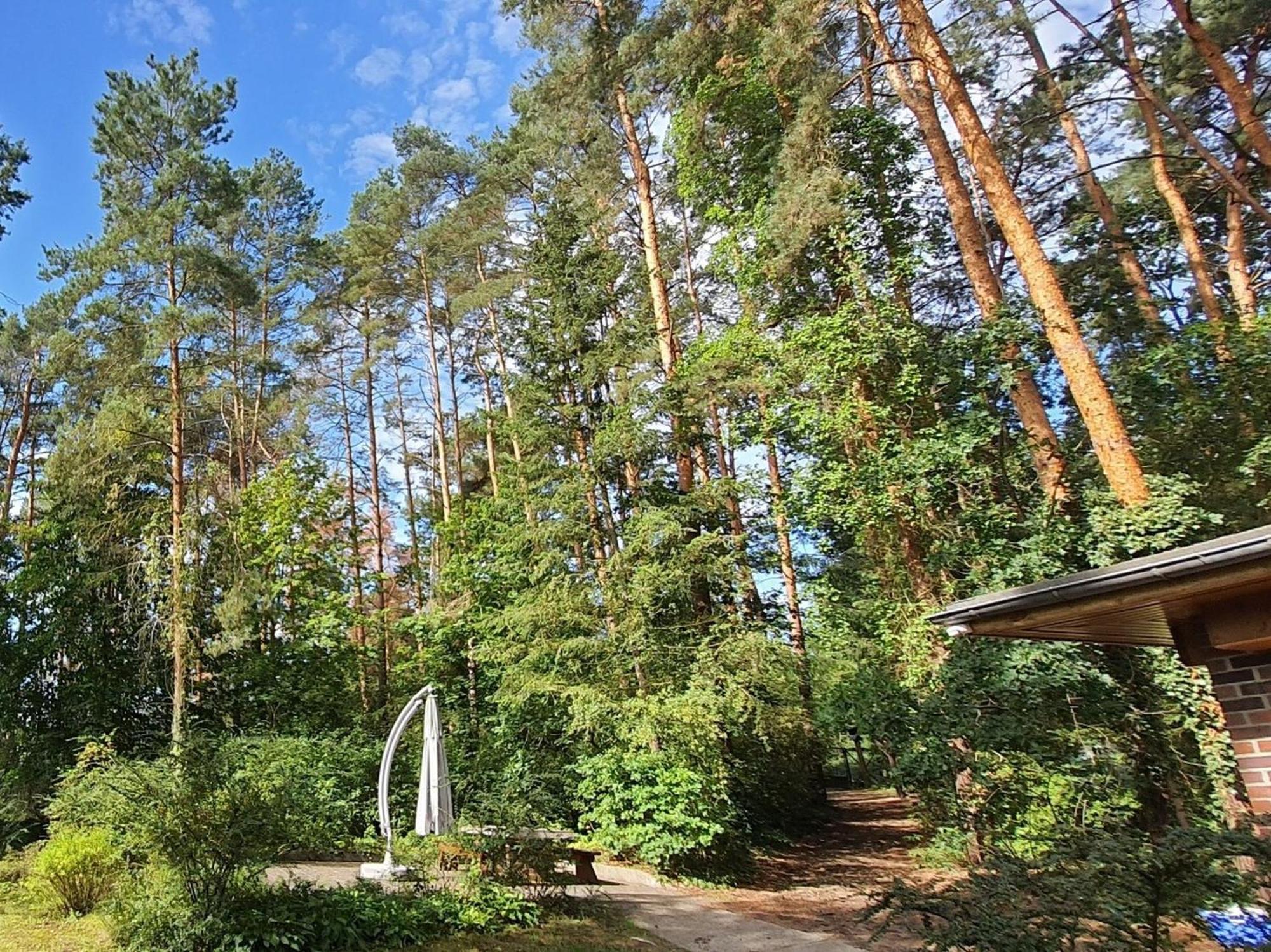 Ferienhaus Waldhaus Bad Liebenwerda Exterior foto
